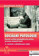 Sociální patologie. Závažné sociálně patologické jevy, příčiny, prevence, možnosti řešení