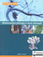 Miniinvazivní přístupy v cévní chirurgii