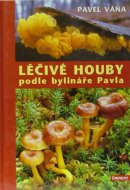 Léčivé houby podle bylináře Pavla