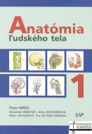 Anatómia ľudského tela 1