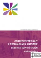 Obrazové předlohy k přednáškám z anatomie. Centrální nervový systém a dráhy